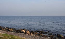 İzmirli liselilerden küresel kuraklığa yerli çözüm: Deniz suyu artık can suyu oluyor