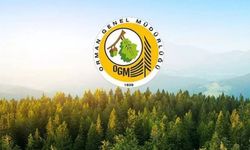 OGM personel alımı yapacak: Başvuru nasıl yapılır, şartlar neler?