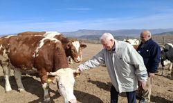 Prof. Dr. Mehmet Haberal uyardı: "Üretmeyen aç kalır, başkalarına muhtaç olur"