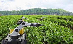 Kamu Teknoloji Platformu 2026’yı “Kamusal Zekâ Yılı” ilan etti