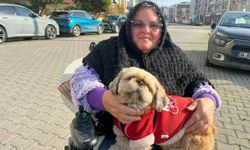 Tekerlekli sandalyedeki Mesude teyzenin hayata tutunma öyküsü: Acılarını ‘Fıstık’ ile dindirdi