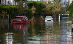 Orman yangınlarının faturası ağır oldu: İzmir’de sel riski kış boyu sürecek