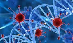 Bu belirtiler kanserin gizli habercisi olabilir