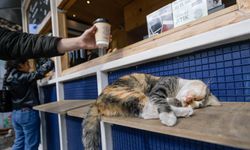 İzmirli Kahve bir milyon bardak satışla rekor kırdı