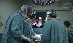 Türkiye’de 2025’te 5 bin 95 organ nakli yapıldı