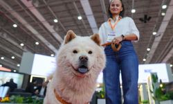 Pet İzmir kapılarını dünyaya açtı