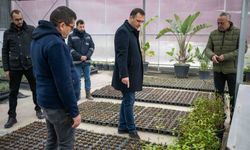 Bornova kendi yeşilini kendi yetiştiriyor