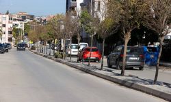 Buca’nın çehresi değişiyor: Refüj ve yeşil alanlarda estetik dokunuş