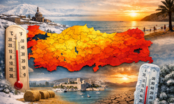 Türkiye kış ortasında baharı yaşadı: Aralık ayı sıcaklıkları son 55 yılın zirvesini zorluyor