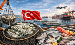 Türk balıkçısı ağlarını dövizle doldurdu: Cumhuriyet tarihinin ihracat rekoru kırıldı