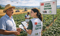 Türkiye’nin tarım röntgeni çekiliyor: Dev sayımda sona yaklaşılırken süre uzatıldı