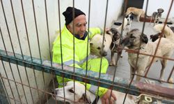 Foça’da can dostlar için şeffaflık dönemi