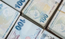 TÜİK şubat ayı verilerini paylaştı: Toplam ciroda yıllık yüzde 34,2 artış