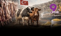 Hayvancılık can çekişiyor, üretici sahadan çekiliyor