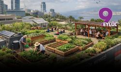 İzmir’in betonları yeşerecek: Avrupa Birliği hibesiyle çatılarda tarım dönemi başlıyor