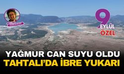 Yağmur can suyu oldu: Tahtalı Barajı'nda ibre yukarı