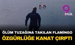 Ölüm tuzağına takılan flamingo özgürlüğüne kanat çırptı