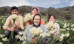 Bayındır’ın havası değişiyor: Turan Mahallesi nergis kokularıyla şenlenmeye hazırlanıyor