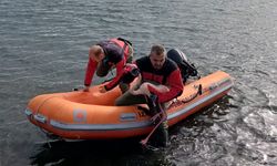 İzmir itfaiyesi denizde mahsur kalan flamingoyu hayata bağladı