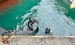 İzmir İtfaiyesi’nden zamanla yarışan kurtarma: İskele altında sıkışan kedi hayata tutundu