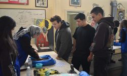 İzmir'de gençler halı motiflerini doğayla buluşturdu