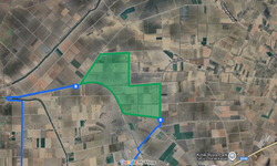 İzmir’in kuzeyinde tarım devrimi: Dünyada ilk olan projede yatırımcı avı başladı