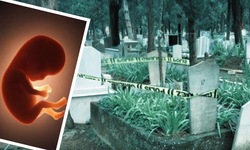 Mezarlıkta poşet içinde cenin bulundu