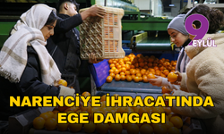 Narenciye ihracatında Ege damgası: 2025’te 1,47 milyar dolarlık gelir