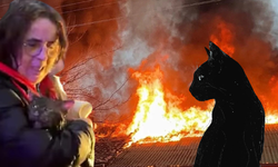 Kediler üşümesin derken mahalleyi yaktılar