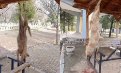 Vahşet! Parkla ayakları asılı bulundu