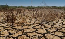 İzmir ve Ege’de kuraklık kâbusu: Yer altı suları tuzlanıyor, barajlar alarm veriyor