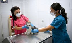 Vahşete inat yaşatmayı seçtiler: Bornova’da Eros’un adını taşıyan merkez şifa dağıtıyor