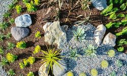 Peyzaj çalışmaları sanat eserine dönüşüyor