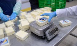 İzmir’de sofralara nefes aldıran peynir hamlesi!