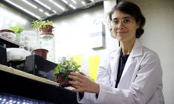 Türk bilim insanlarından tarihi başarı: Ay ve Mars toprağında domates hasadı