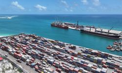 Türk lojistik devi dünyaya açılan kapılarını tek çatı altında birleştirdi: Karşınızda ALPORT