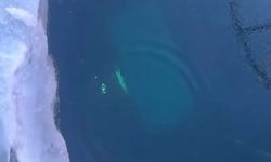 Rusya'da tur aracı buzun altına düştü