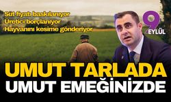 Ödemiş’te üreticinin isyanı: Maliyetler bel büküyor inekler kesime gidiyor