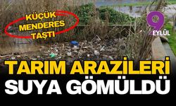 Küçük Menderes taştı, binlerce dönüm arazi sulara gömüldü