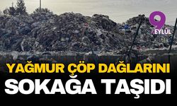 Çöp yollara aktı: Mahalleli isyan etti