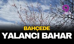 Bahçede yalancı bahar