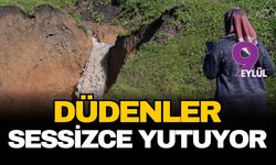 Düdenler sessizce yutuyor