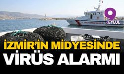 İzmir'in midyesinde 'virüs' alarmı