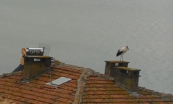 Yaren Leylek ile Adem Amca 15. kez yine buluştu