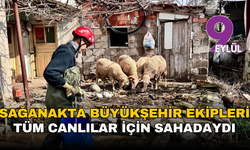 İzmir’de sağanakta vicdan seferberliği: Büyükşehir ekipleri tüm canlılar için sahadaydı