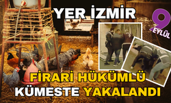 İzmir'de aranan firari kümeste yakalandı