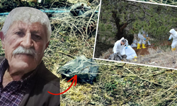 Kan donduran cinayet! Cesedi parçalanmış halde bulundu!