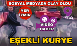 İzmirli kuryeden trafikte akılalmaz hamle, ehliyeti elden gidince eşeği kullandı