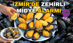 Hepsi İzmir Körfezi'nden toplandı! Midyelerde Hepatit virüsü çıktı