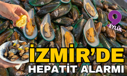 Hepsi İzmir Körfezi'nden toplandı! Midyelerde Hepatit virüsü çıktı